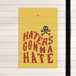 Haters gonna hate.