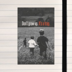 Don't grow up. It's a trap.