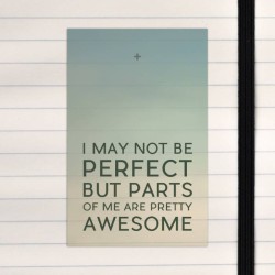 I may not be perfect.