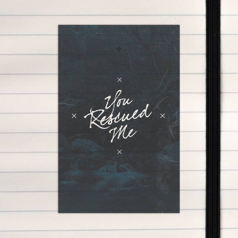 You rescued me.