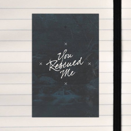 You rescued me.